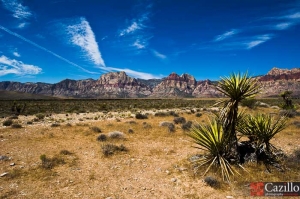 20110728_redrockcanyon_043